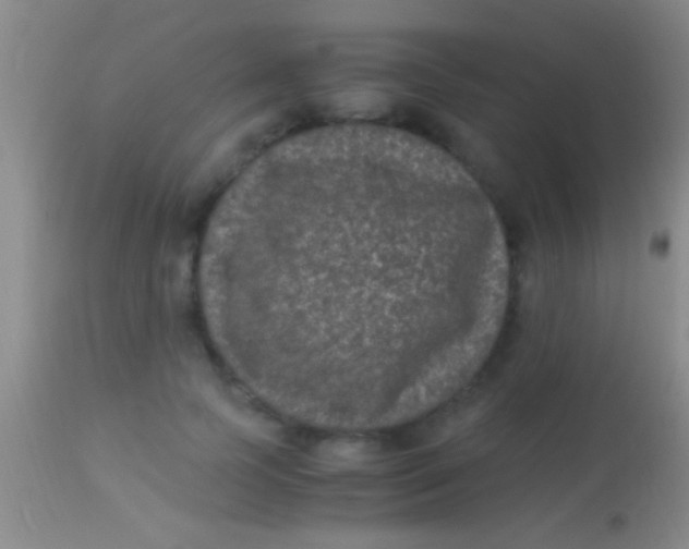 X0000113950745200910161939