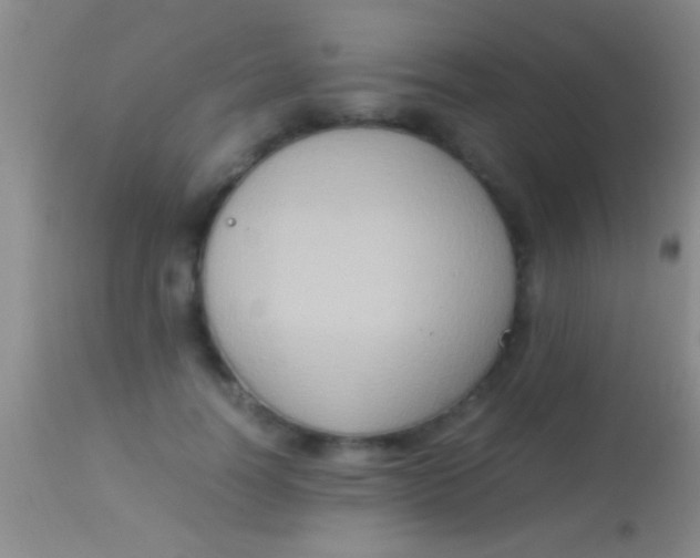 X0000113950746200910161939