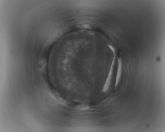 X0000113950747200910161939