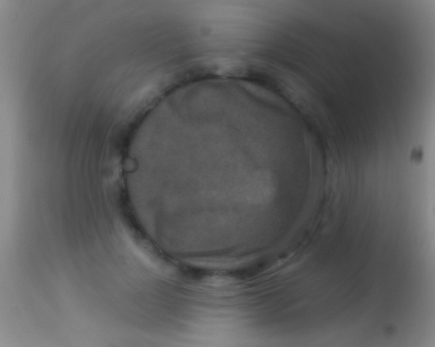 X0000113950748200910161939