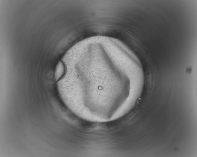 X0000113950750200910161939