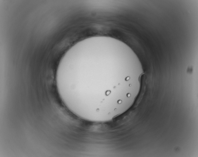 X0000113950752200910161939