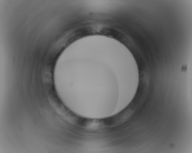 X0000113950754200910161939