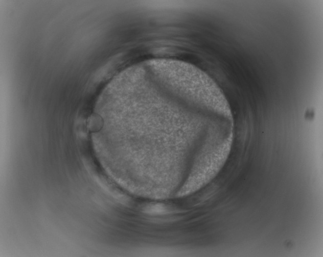 X0000113950755200910161939