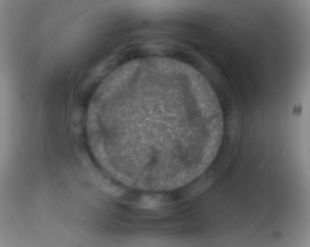 X0000113950757200910161939