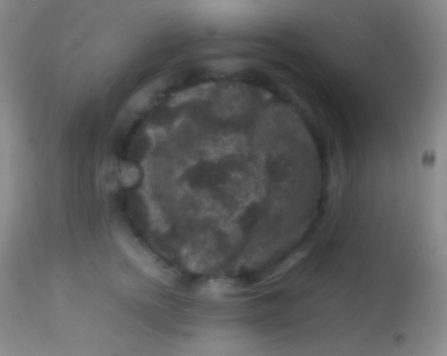 X0000113950758200910161939