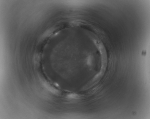 X0000113950759200910161939