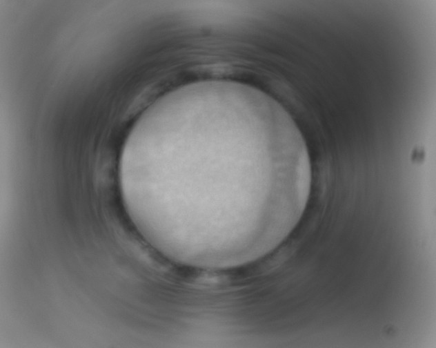 X0000113950760200910161939