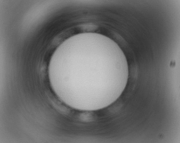 X0000113950761200910161939