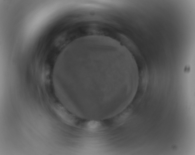 X0000113950762200910161939
