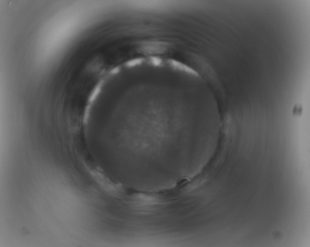 X0000113950763200910161939