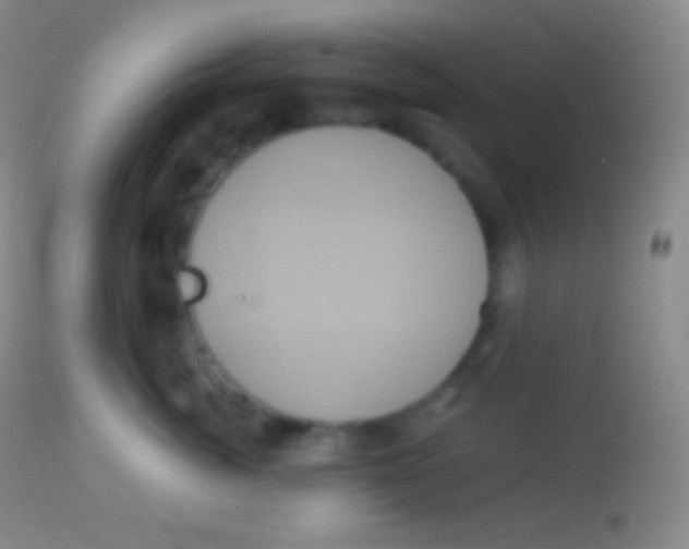 X0000113950764200910161939