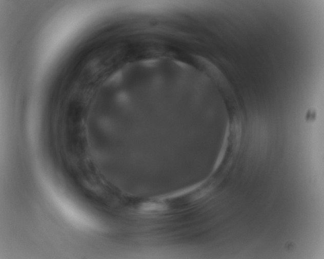X0000113950765200910161939