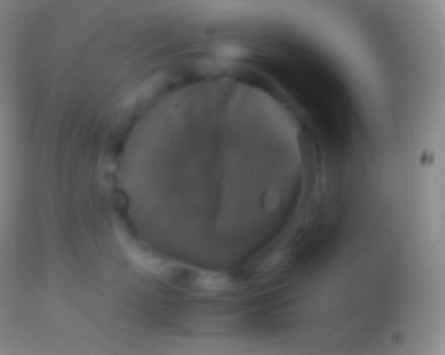 X0000113950767200910161939