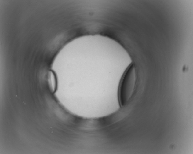 X0000113950768200910161939