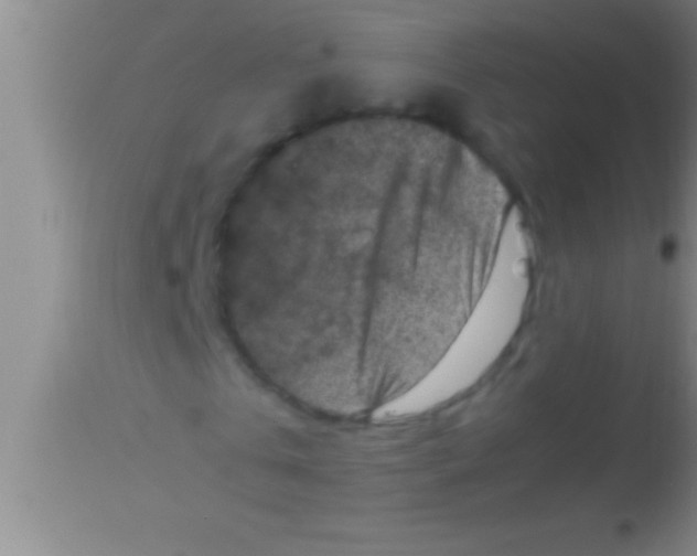 X0000113950769200910161939