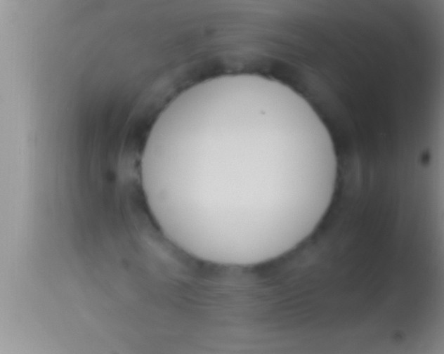 X0000113950770200910161938