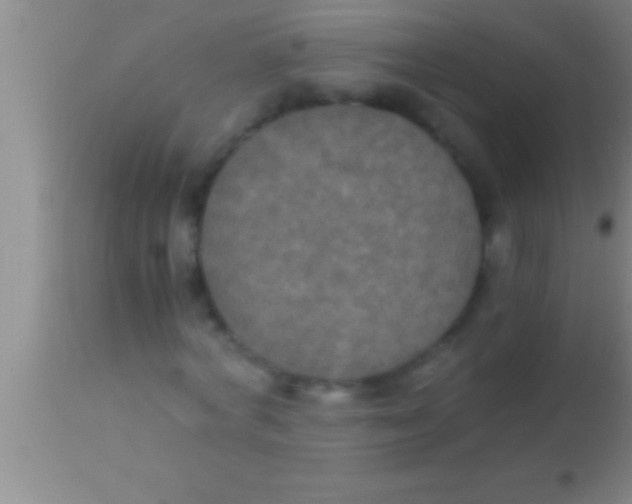 X0000113950772200910161938