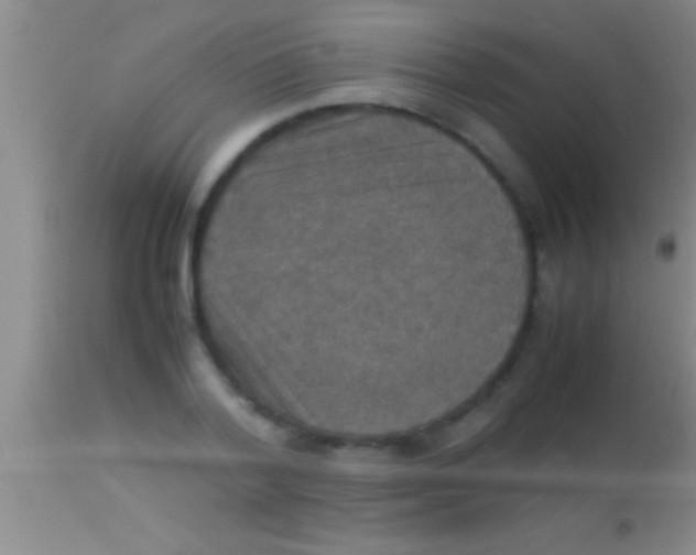 X0000113950788200910161938