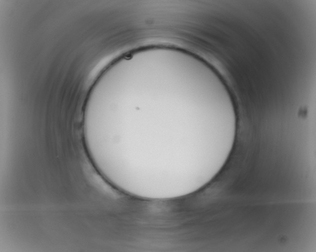 X0000113950799200910161938
