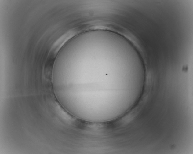 X0000113950801200910161938
