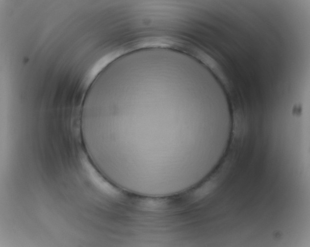 X0000113950802200910161938