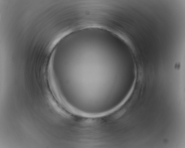 X0000113950806200910161938