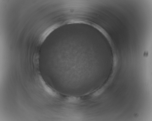 X0000113950809200910161938