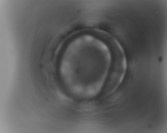 X0000113950817200910161937