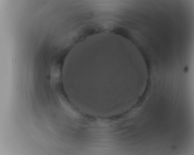 X0000113950818200910161937