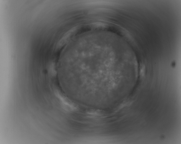 X0000113950819200910161937