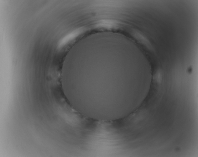 X0000113950822200910161937