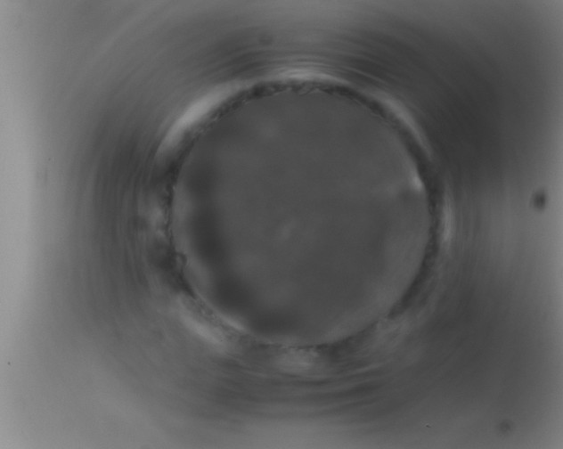 X0000113950823200910161937