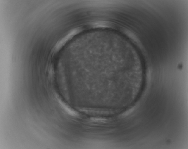 X0000113950825200910161937