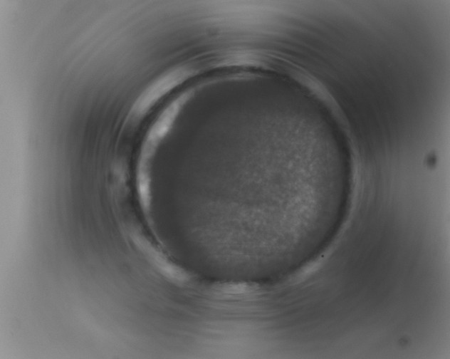 X0000113950826200910161937