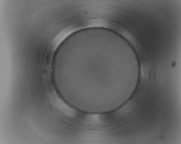 X0000113950828200910161937