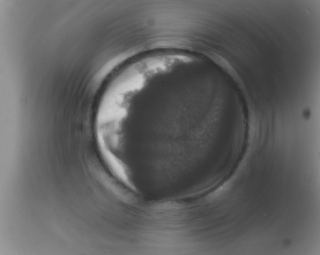 X0000113950830200910161937