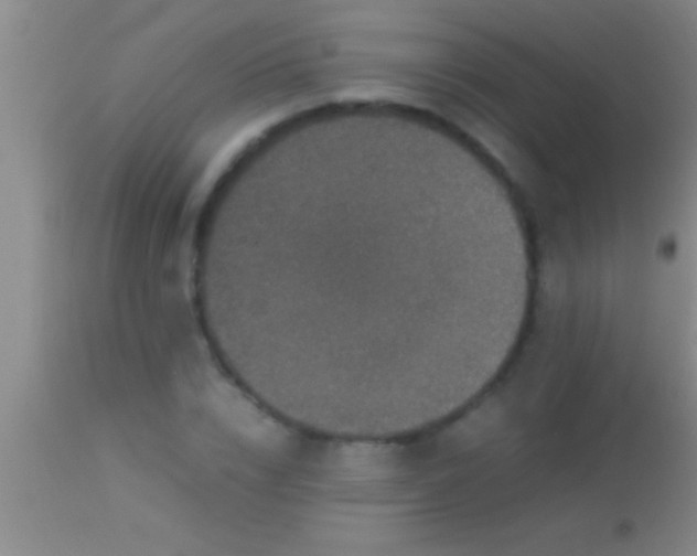X0000113950832200910161937