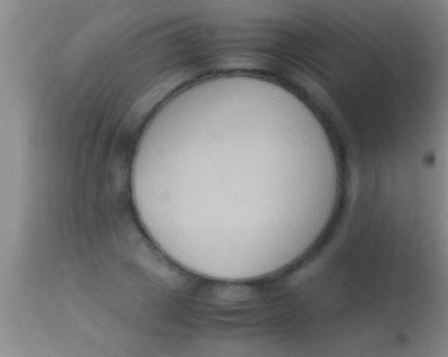 X0000113950833200910161937