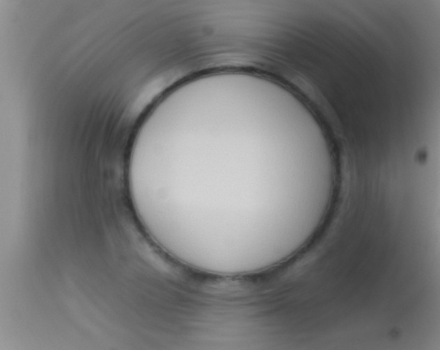 X0000113950834200910161937