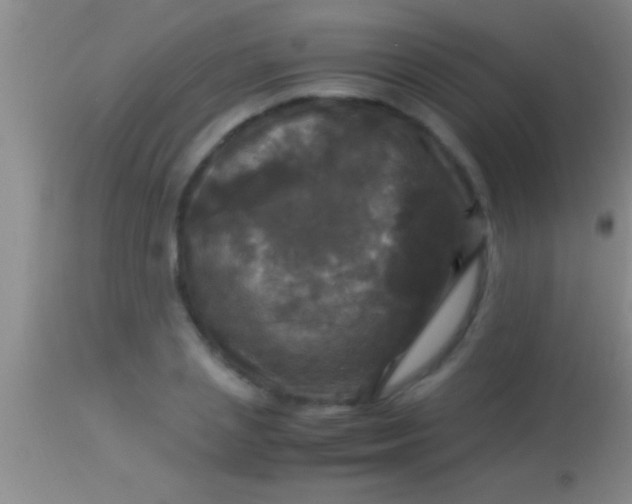 X0000113950837200910161937