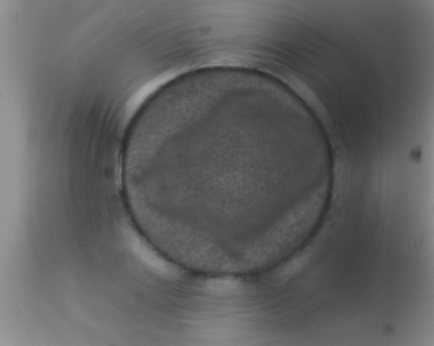 X0000113950838200910161937