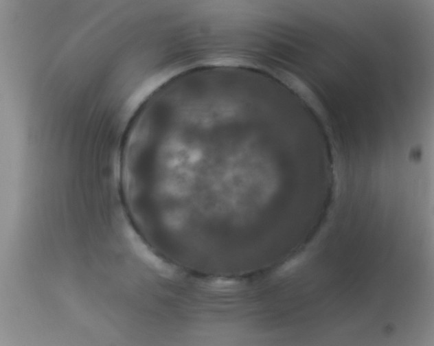 X0000113950839200910161937