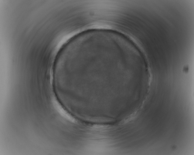 X0000113950840200910161937