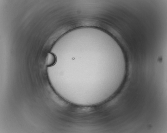 X0000113950841200910161937