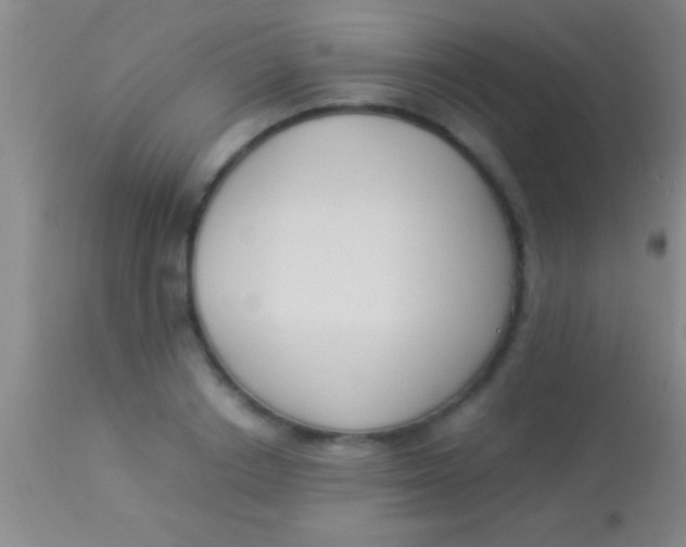 X0000113950842200910161937