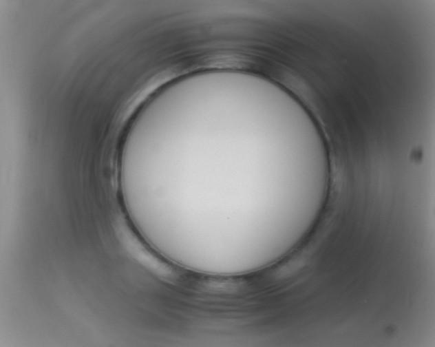 X0000113950843200910161937