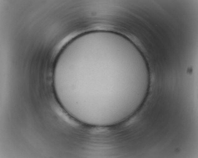X0000113950846200910161938