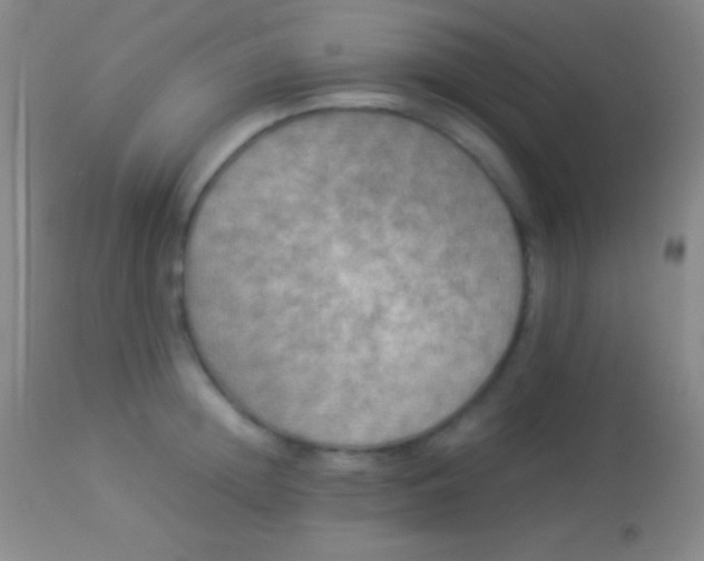 X0000113950852200910161938