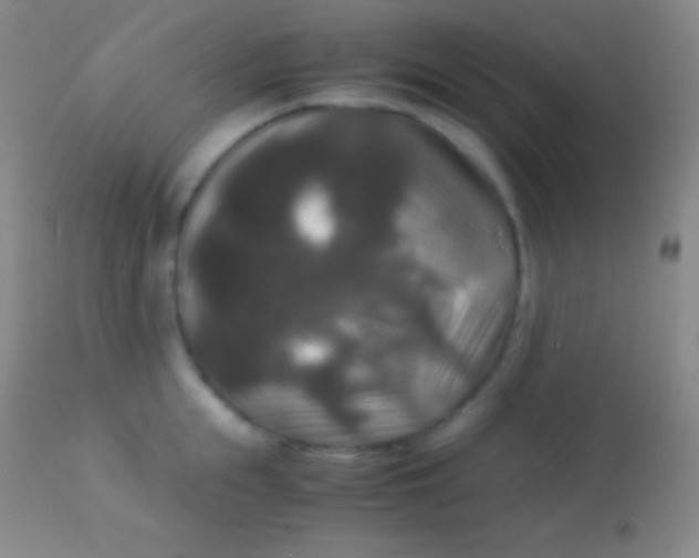 X0000113950855200910161938